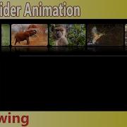 Java Swing Image Slider Animation Part 1