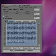 Directional Cloning Using Reverse Complement Function