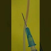 Blowing Veins Part 2 Funfacts Goodtoknow Vet Medicine Educational Blood Phlebotomy