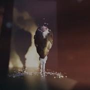 MAKING OF Generative Character Animation In C4D With Kinect V2 Point Cloud Data R D Study