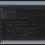 Python Script MD5Hasher To Convert Each Line Of A File To MD5 Hash