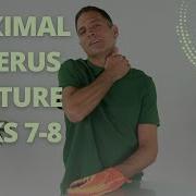 Proximal Humerus Fracture Weeks 7 8 Slider Shoulder Exercises On Countertop Phase VI