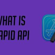 What Is Rapid API