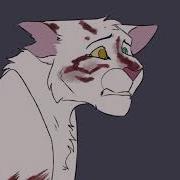 Hey Mom Warrior Cats OCs MEME