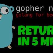GOLANG MULTIPLE RETURN VALUES IN 5 MINS Go Tutorial For Beginners