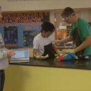 Dissection Safety