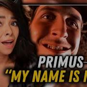BASSIST REACTS To Primus My Name Is Mud FIRST TIME REACTION