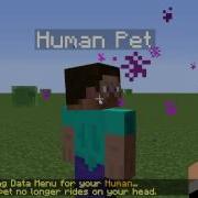Minecraft Bukkit Plugin Tutorial Echo Pets