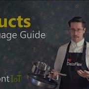 Structs DataFlex Language Guide