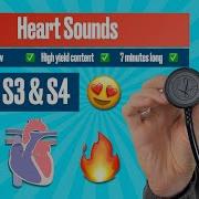 Heart Sounds For Beginners S1 S2 S3 S4 Heartsounds
