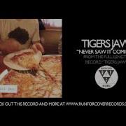 Tigers Jaw Never Saw It Coming Official Audio