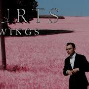 HURTS WINGS TEASER 2