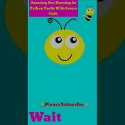 Amazing Bee Drawing In Python Turtle With Source Code Coding Stuats Shorts Bee Python