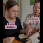 Would Listen To Steve Jobs Stevejobs Funny Senior Sql Junior Dataengineering Datascience