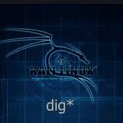 DNS Enumeration Using Dig And Dnsrecon Reverse IP Lookup Shadowctrl Tamil