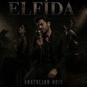 ELFİDA HALUK LEVENT Anatolian Noir Cover