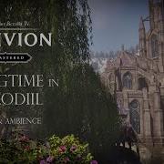 Springtime In Cyrodiil Oblivion Remastered Ambience