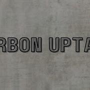 What Is Carbon Uptake