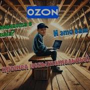 Мой испытательный срок на позиции Senior Golang разработчик в Ozon Все плохо