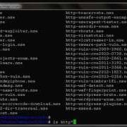 Web HTTP Method Using Nmap
