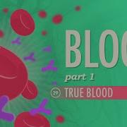 Blood Part 1 True Blood Crash Course Anatomy Physiology 29