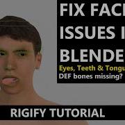 Fix Face Rig In Blender With Rigify Eyes Teeth Tongue Not Moving DEF Bones Missing Full Guide