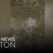 Stunning Dendrite Snowflakes Seen On Video In Maine