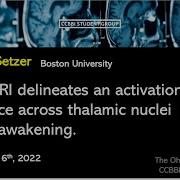 Fast FMRI And Thalamic Nuclei During Awakening Beverly Setzer