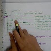 Android Manifest Xml Layouts And Drawables
