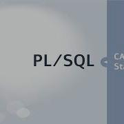 PL SQL Tutorial CASE Statement