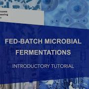 Fed Batch Microbial Fermentations