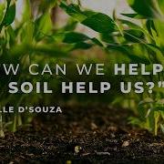 Мишель Д Суза Как ученые расшифровывают скрытую жизнь почвы