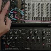 Disting Mk4 Counter