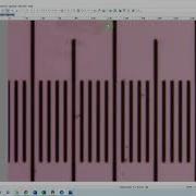ImageView Microscope Camera Software Calibration