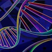 How Do DNA Ancestry Tests Work How 23andme Works