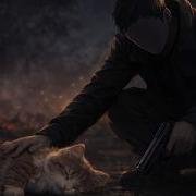 They Took Her From Me They Killed Your Cat