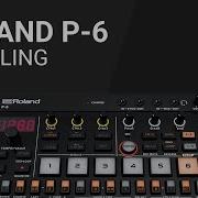 ROLAND P 6 Sampling руководство пользователя