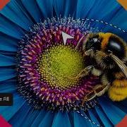 What Is Adobe Firefly Design Fundamentals With AI Adobe