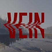 VEIN 0 009