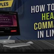 How To Use Head Command In Linux 7 Practical Examples LinuxSimply