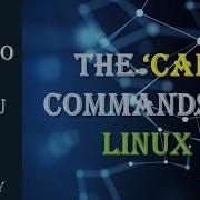 Use The UNIX Or LINUX Cal Command