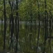 Spring In Russia