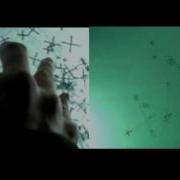 Real World Interactions Series Flocking