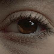 Tobii Pro Fusion Eye Tracker For Scientific Research