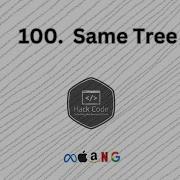 LeetCode100 Same Tree Interview Preparation MAANG Recursion