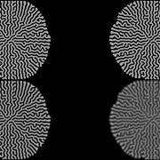 Processing Reaction Diffusion Algorithm Using Gaussian Blur
