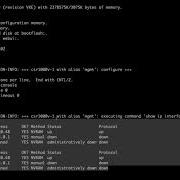 7 Automating Your Network Tests And Deployments With PyATS And Genie