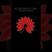 Red Flower Using Python Turtle Python Turtle Graphics Python Shorts