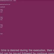 Timed Breakpoints With GDB
