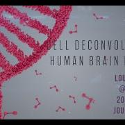 2020 10 22 Strategies For Cellular Deconvolution In Human Brain RNA Sequencing Data